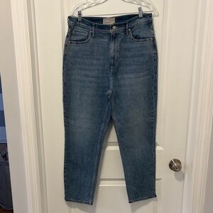 Everlane Light Blue Ankle Jeans